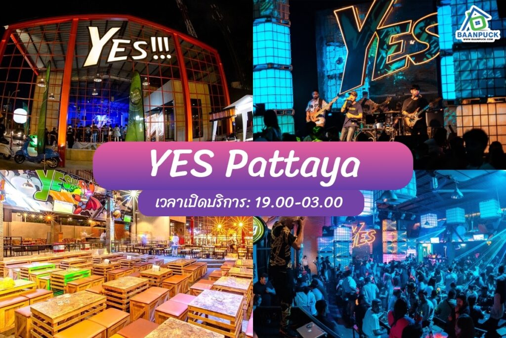 ร้านเหล้าพัทยา 