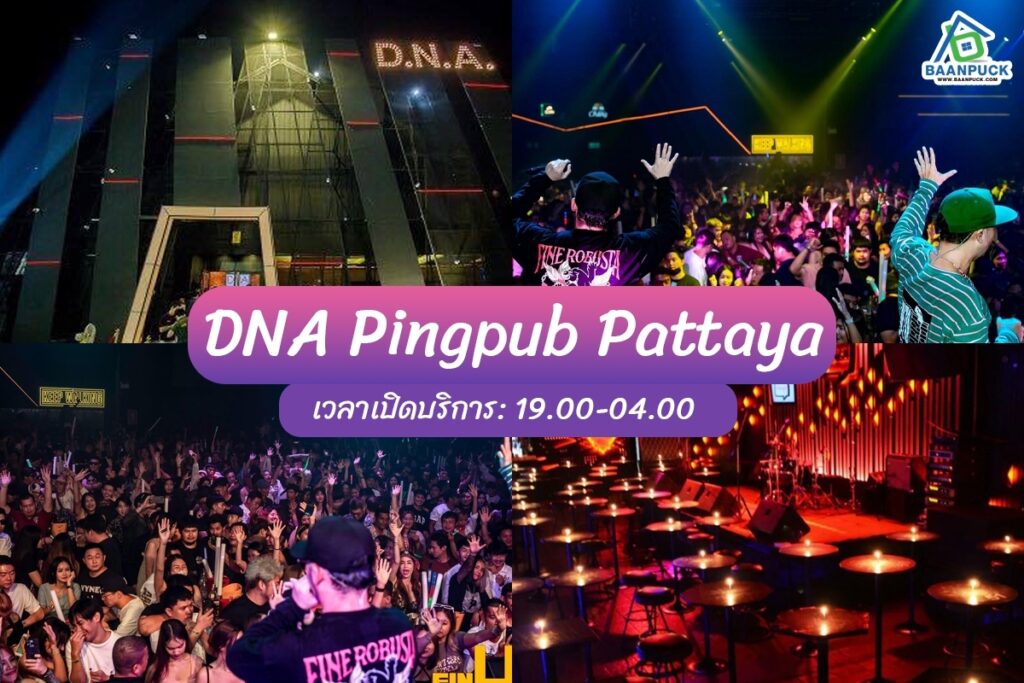 ร้านเหล้าพัทยา 