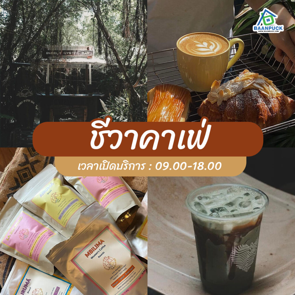 ร้านกาแฟพัทยา