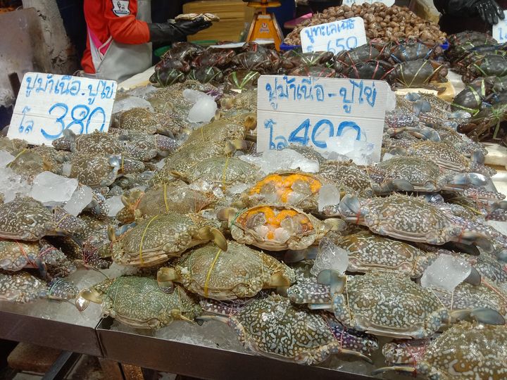 3 ตลาดอาหารทะเล พัทยา ซื้อวัตถุดิบซีฟู๊ดเน้นๆ สดใหม่ทุกวัน