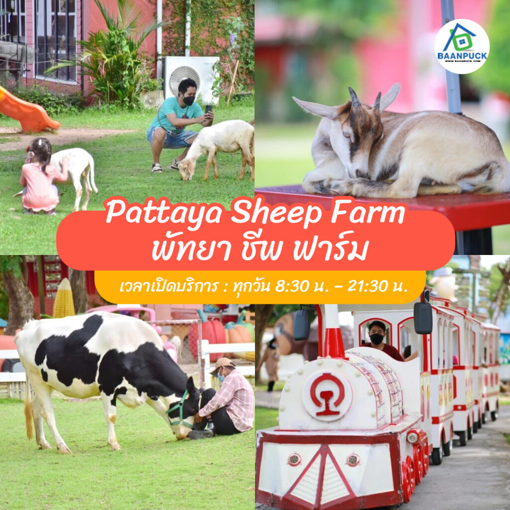 ที่เที่ยวพัทยา