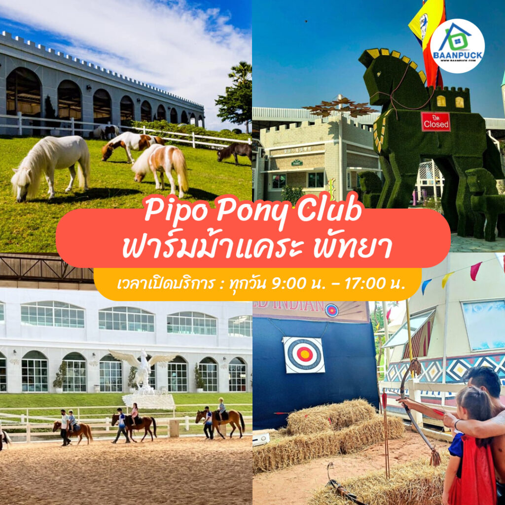 ที่เที่ยวพัทยา