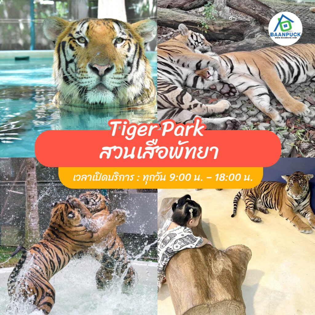 ที่เที่ยวพัทยา