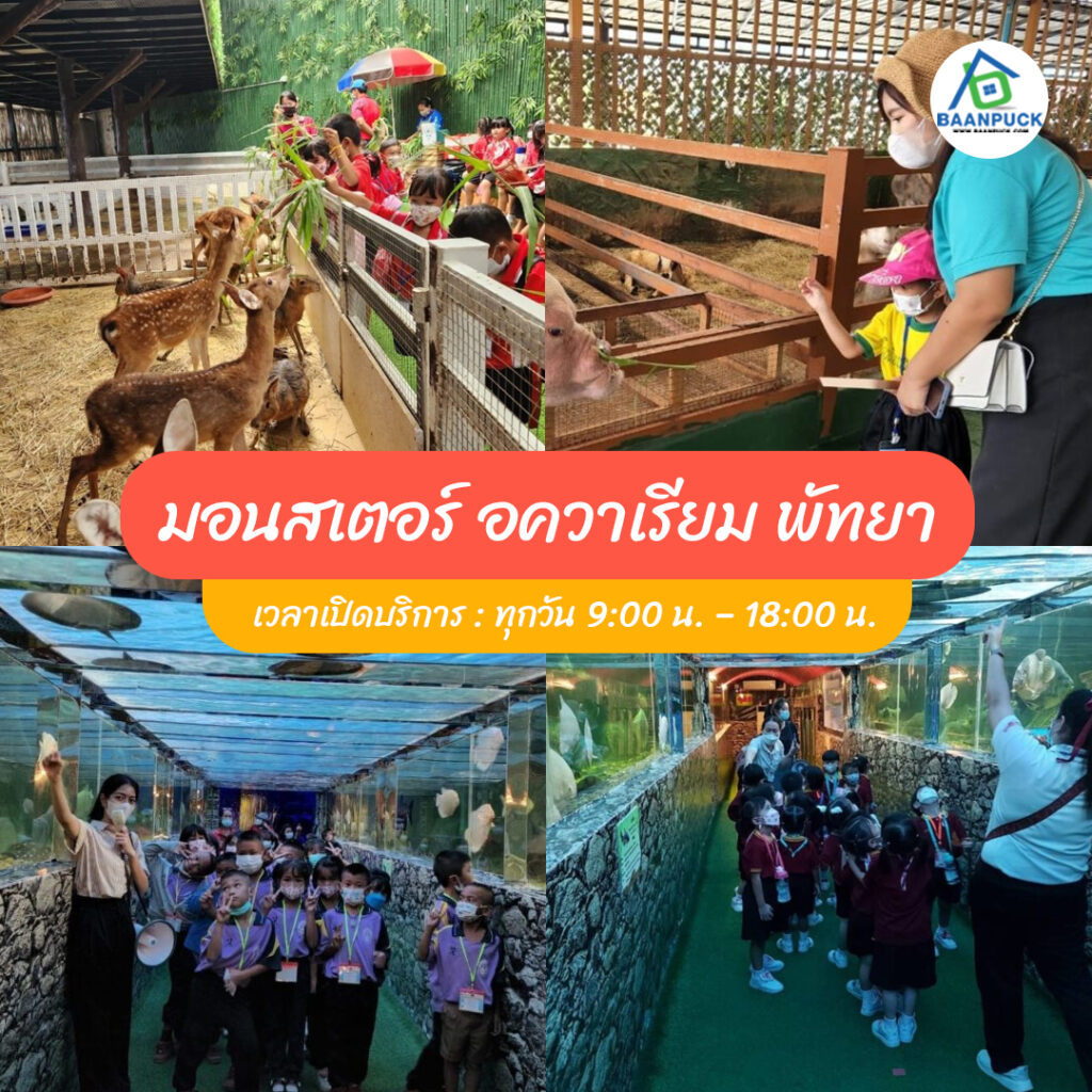 ที่เที่ยวพัทยา