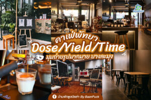 Dose/Yield/Time Café