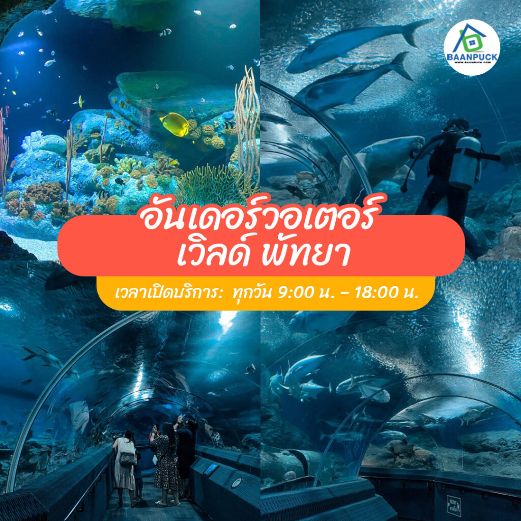 ที่เที่ยวพัทยา