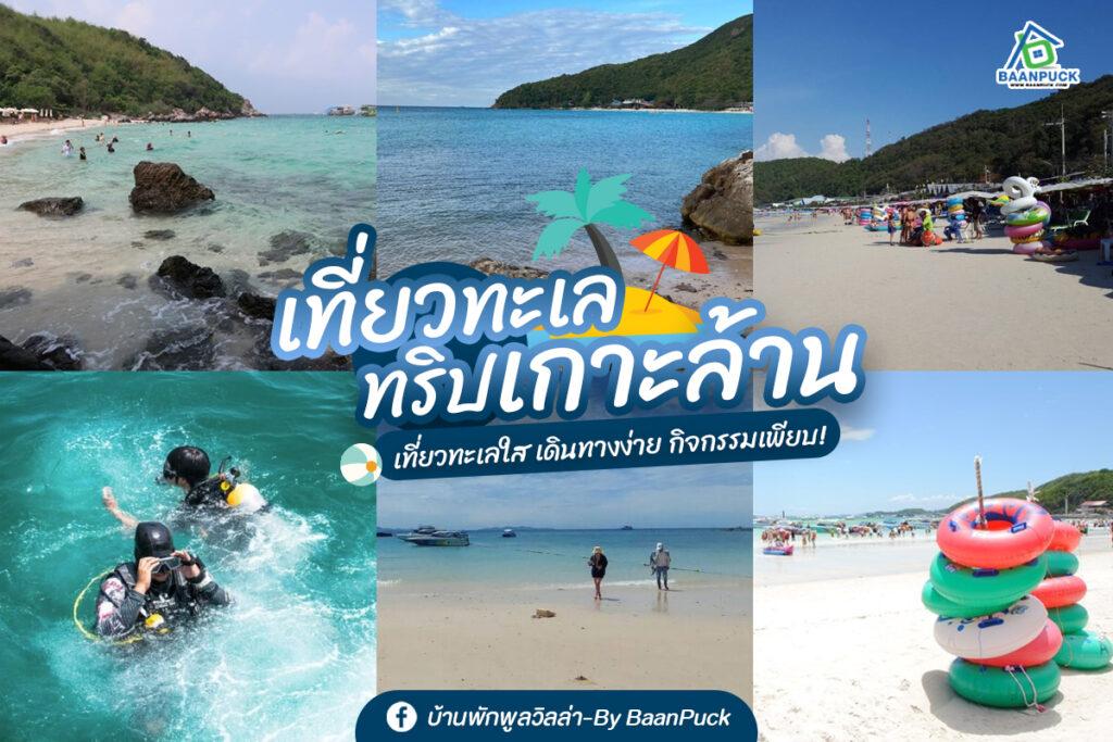 ทริปเกาะล้าน