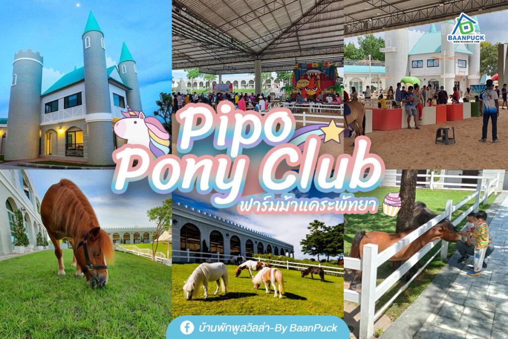 Pipo Pony Club