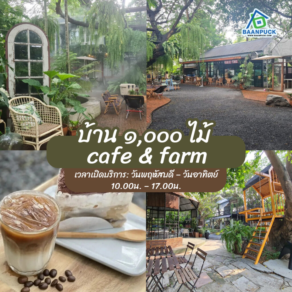 คาเฟ่ใกล้กรุงเทพ